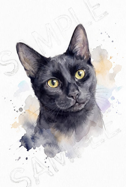 Luna - Soul Gaze