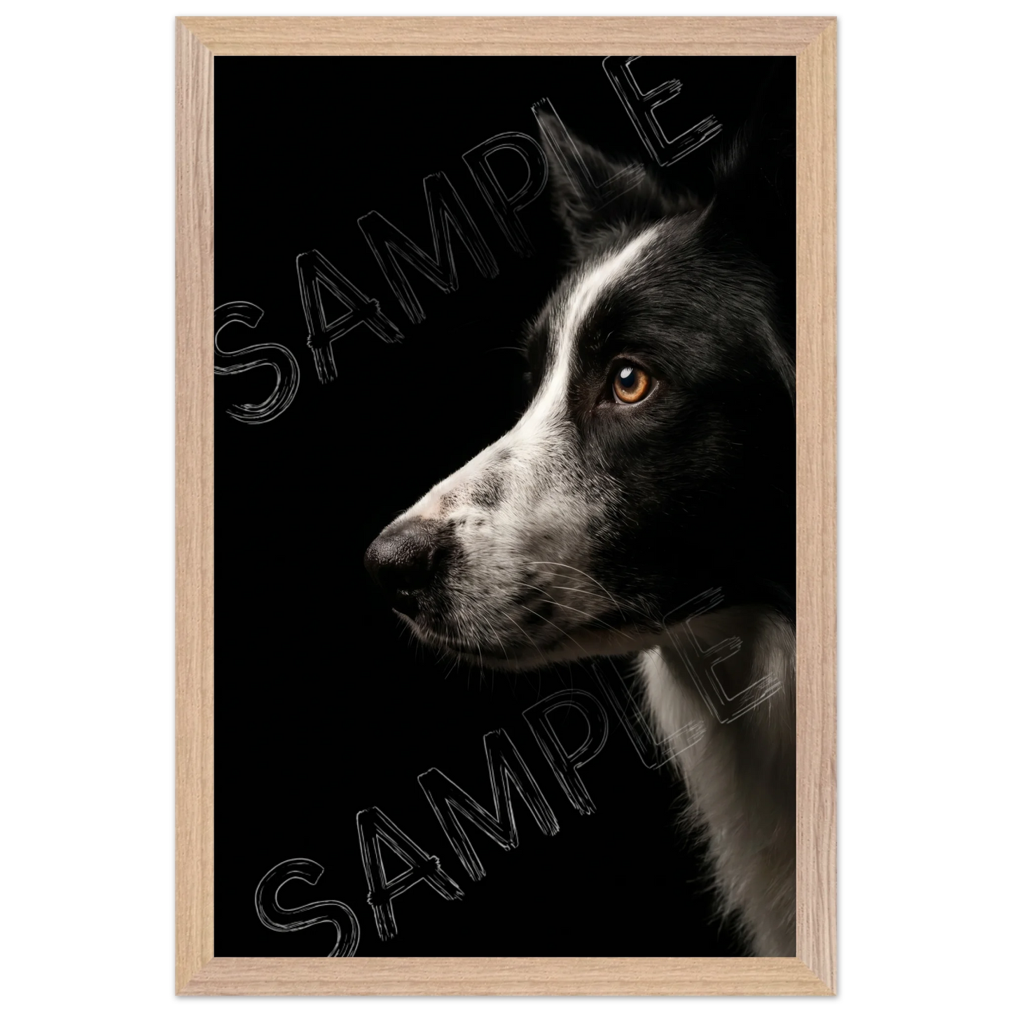 Frame