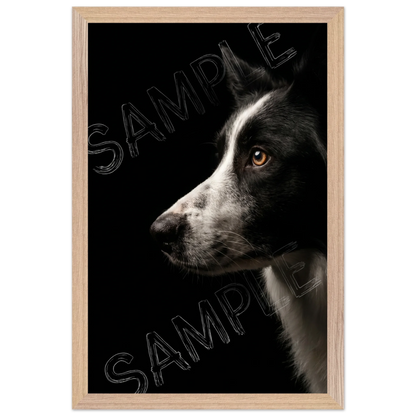 Frame