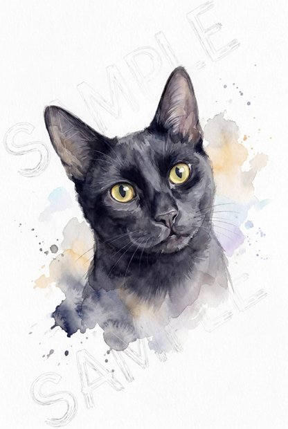 Luna - Soul Gaze